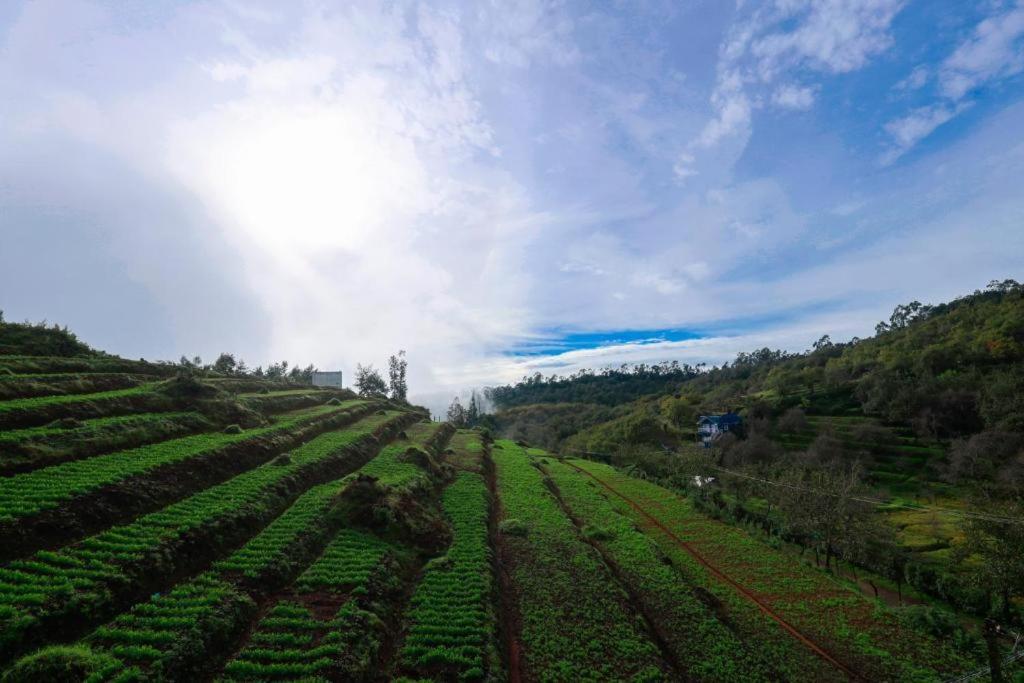 Starlight Hotels Kodai Kodaikanal Bagian luar foto