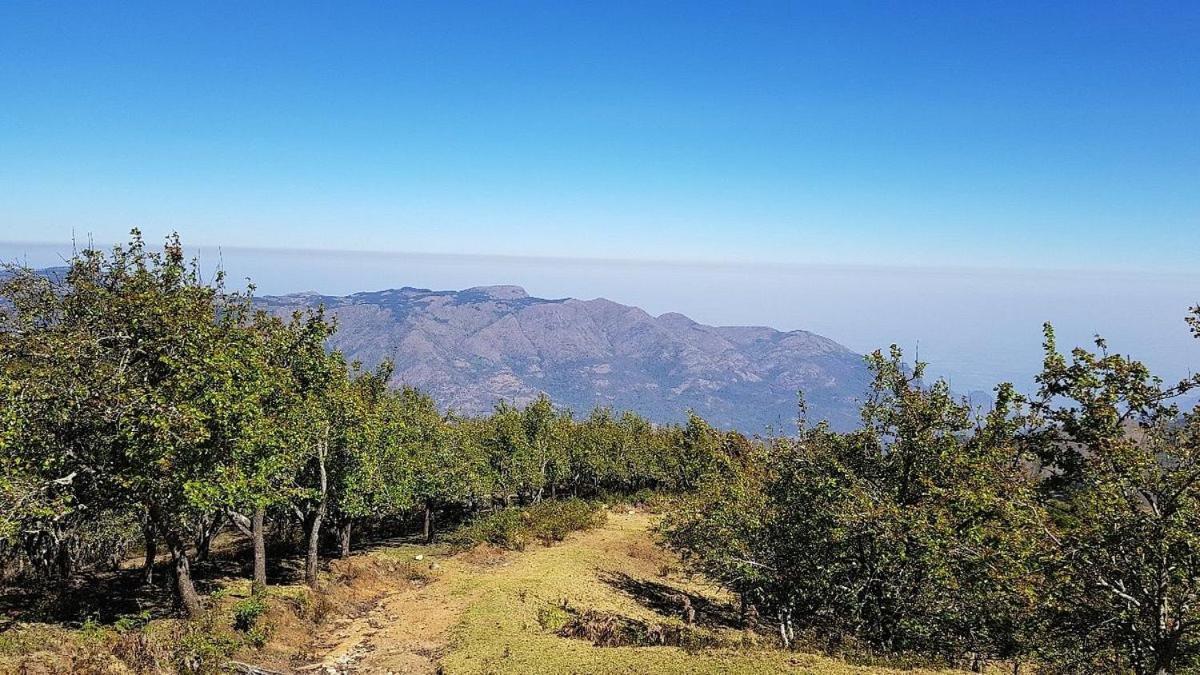 Starlight Hotels Kodai Kodaikanal Bagian luar foto